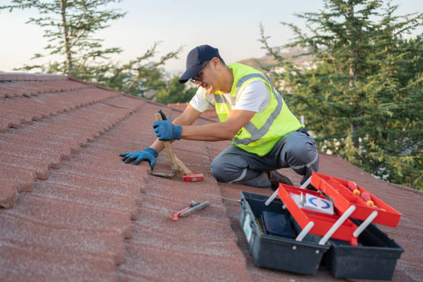 Best Metal Roofing Contractor  in Jamestown, KY