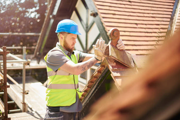 Best Roof Gutter Cleaning  in Jamestown, KY
